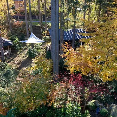 Skala * 카르파츠